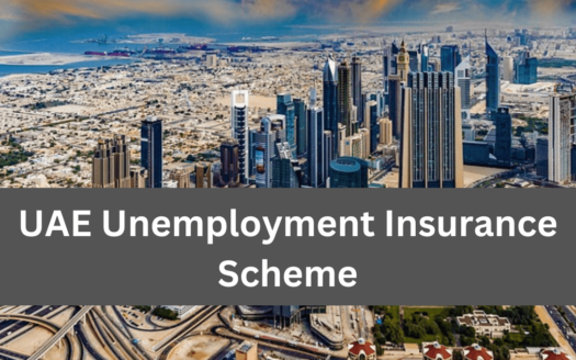 UAE Unemployment Insurance Scheme Update: Settle Fines or Risk Visa Ban